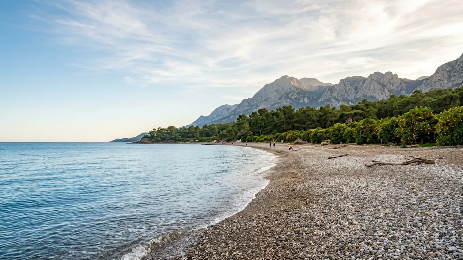 Camyuva, Türkiye — the pebble shore at Camyuva south of Kemer, orange groves and pine woods between the beach and the mountain wall behind.