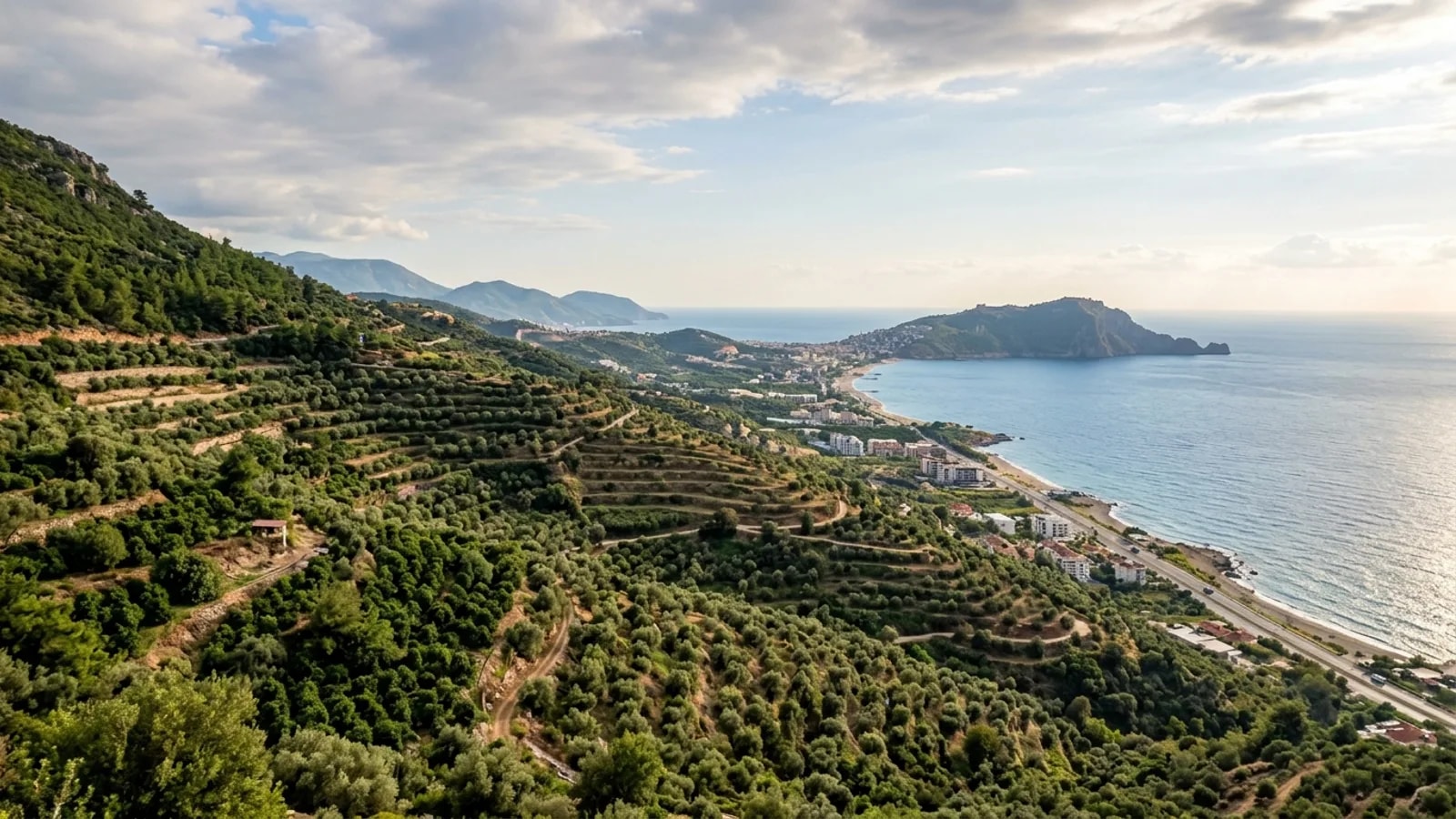 Kargicak, Türkiye — the hillside above Kargicak east of Alanya, olive and avocado terraces on steep green slopes looking down over the Mediterranean.