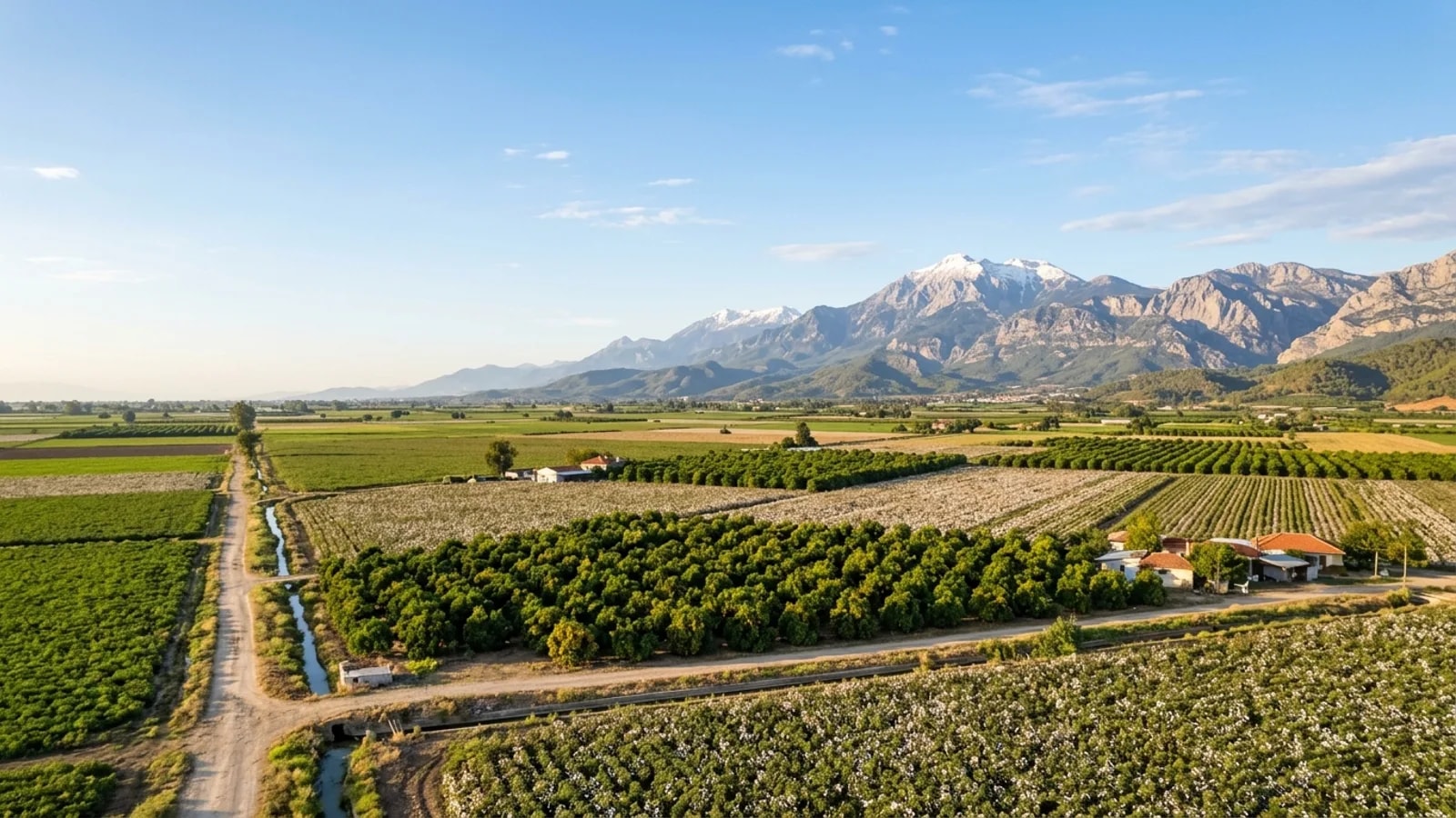 Serik, Türkiye — the farmland around Serik inland from the Antalya coast, cotton and citrus fields on a flat plain with the Taurus mountains on the horizon.