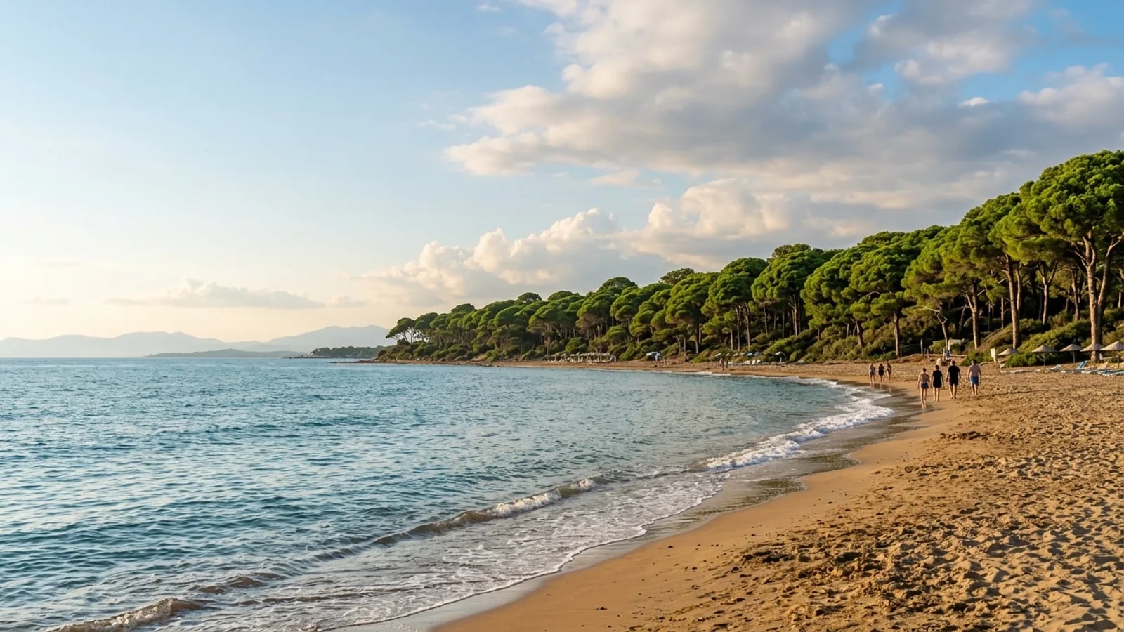 Sorgun, Türkiye — the shore at Sorgun east of Side, a sandy beach with a dense umbrella pine forest growing right down to the sand.